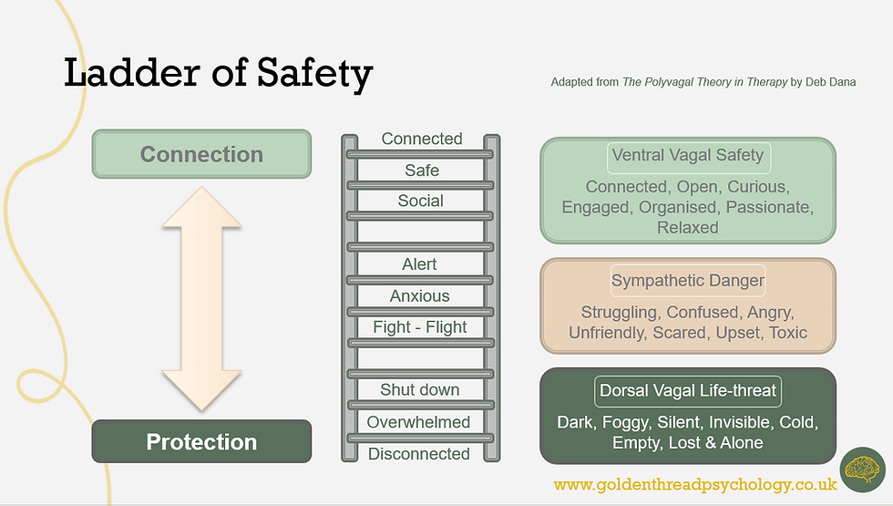 Polyvagal Theory: From Protection To Connection