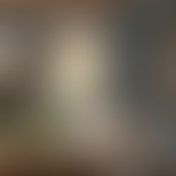 timeless living room interior design with soft light Alexandria VA