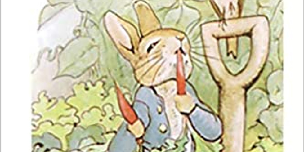 Weavers Helping Weavers - Guild Challenge - A Storybook Inspired Weaving