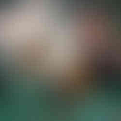 ¡SOY FRANKELDA!: La primera película mexicana en stop motion