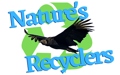 Nature's Recyclers (5).png