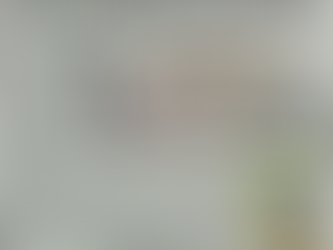 AFI Corp Support Drives Summa Rugby’s Inspiring Season and Plate Championship Glory