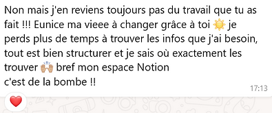 Avis de client sur ma création d'espace de travail Notion