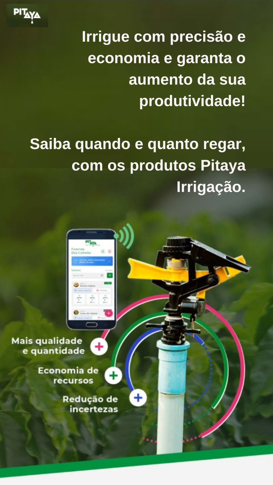 Miniatura: Pitaya Irrigação