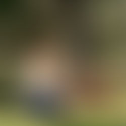 Your Dog, Your Life: Personalized Training Plans for Real‑Life Success (Madison, WI + Virtual)