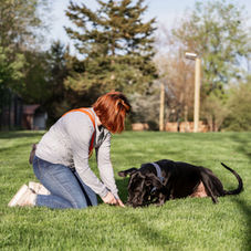 Grow Together: How SMART Membership Coaching Supports Every Stage—from Puppy to Adult