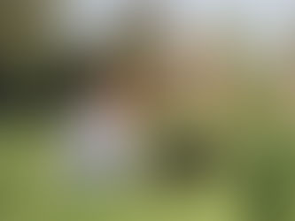 Grow Together: How SMART Membership Coaching Supports Every Stage—from Puppy to Adult