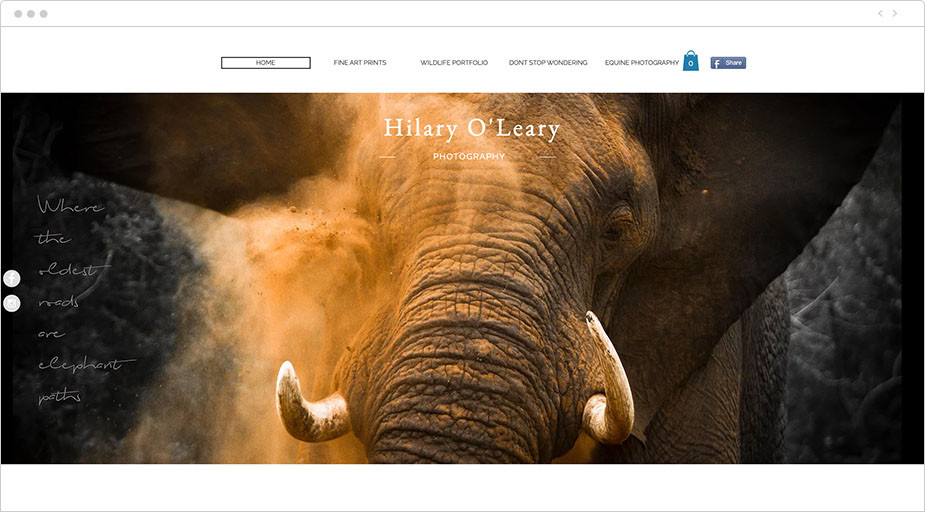 Esempio portfolio fotografico Hilary O'Leary