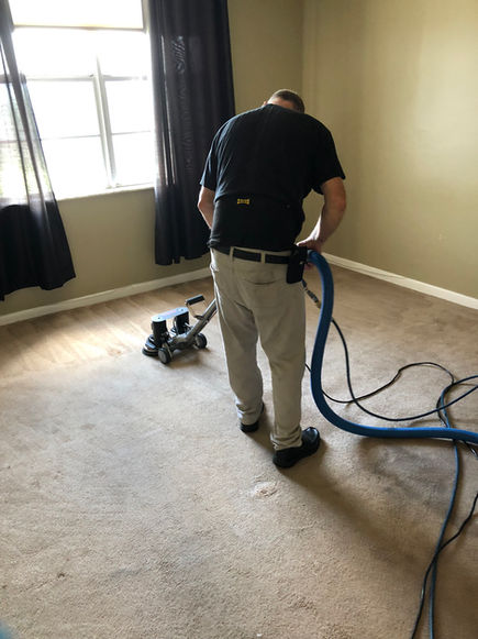 carpet cleaning miami florida