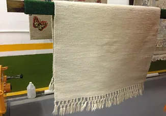 professional rug cleaning services in miami
