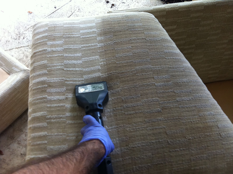 Upholstery Cleaning: Can Every Couch Be Steam Cleaned?