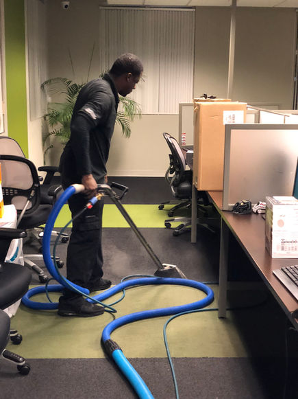 professional carpet cleaning