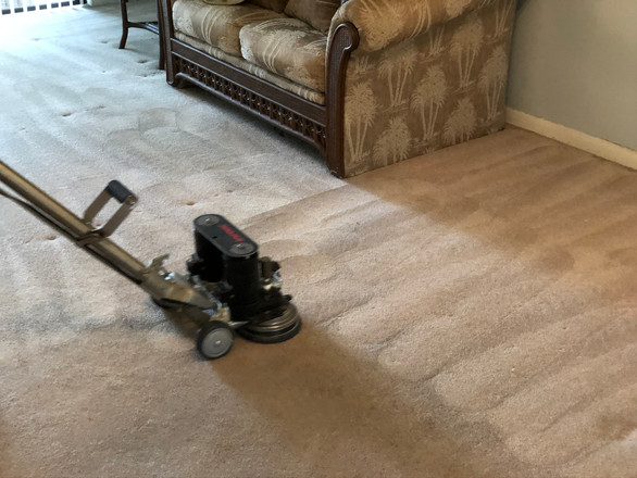 professional carpet cleaning plantation