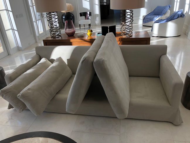 couch cleaning professional