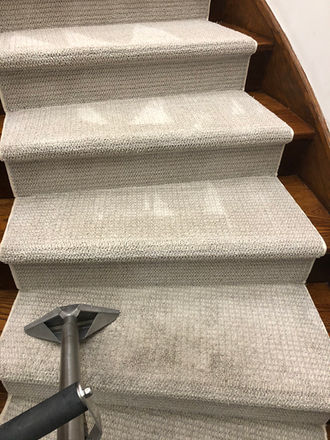 carpet cleaning conpanies
