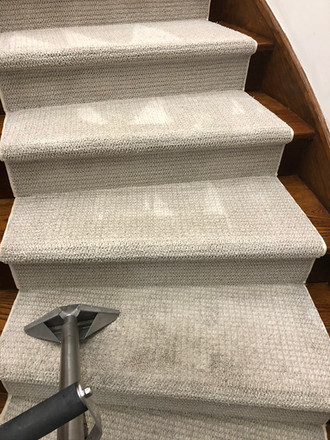 carpet cleaning conpanies