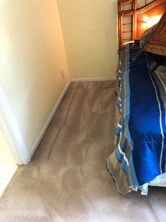 professional carpet cleaning services plantation fl