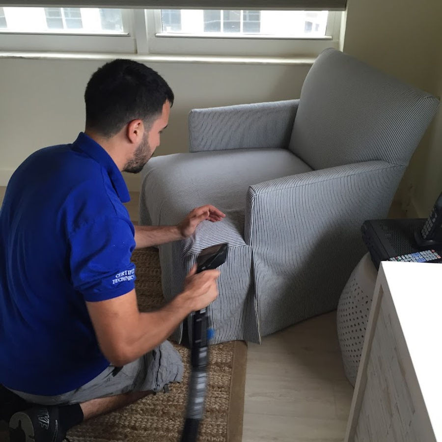 American Steamers technician cleaning a gray armchair in a living room
