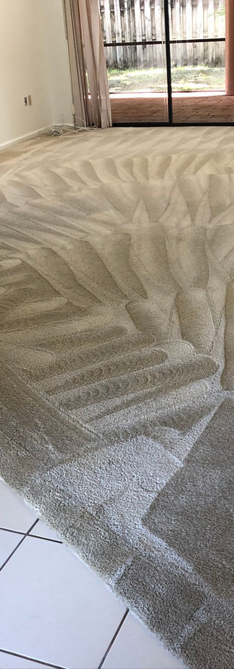 carpet cleaners near me