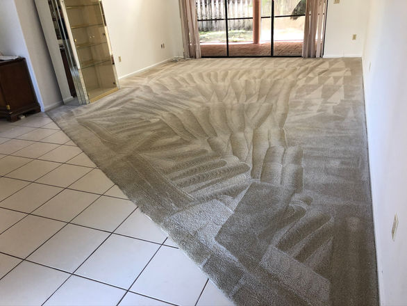 best carpet cleaning service for pet urine
