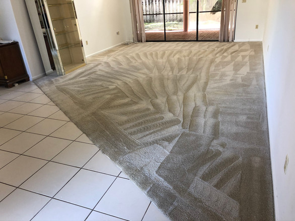 best carpet cleaning service for pet urine