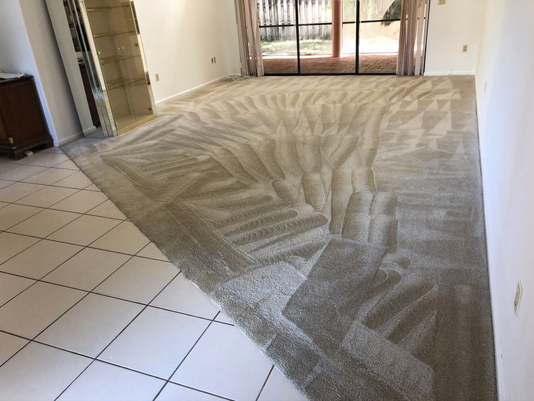 carpet cleaners near me