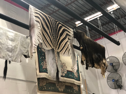 rug cleaning repair near me