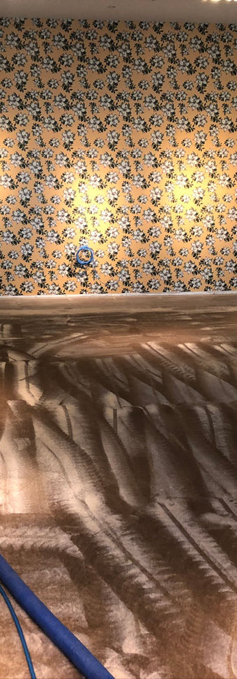 carpet steaming near me
