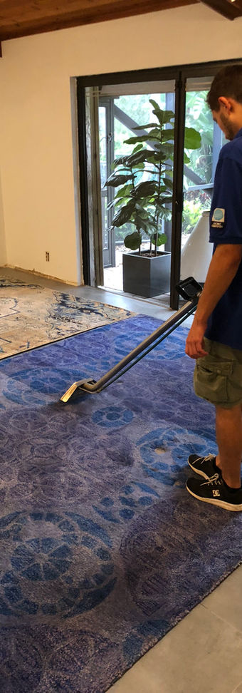 carpet cleaning company