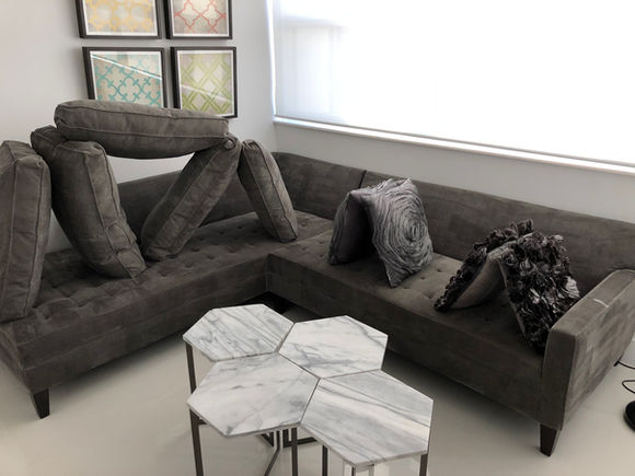 upholstery cleaner service