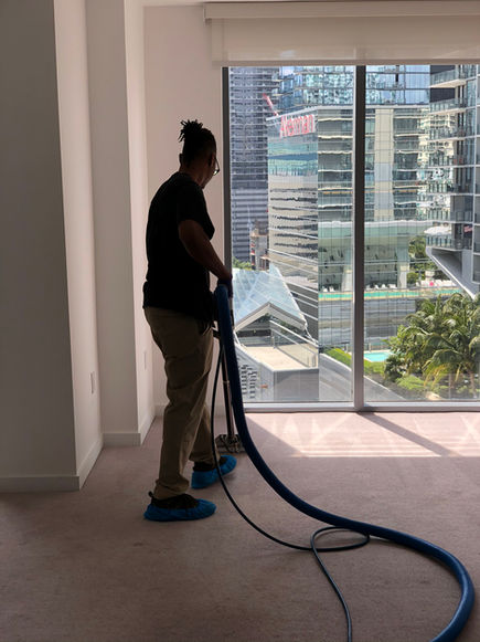 best carpet cleaning companies