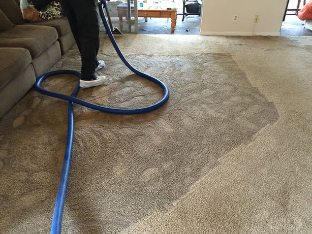 steam cleaning services