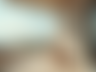 Todo sobre las Casas Vacacionales en Línea