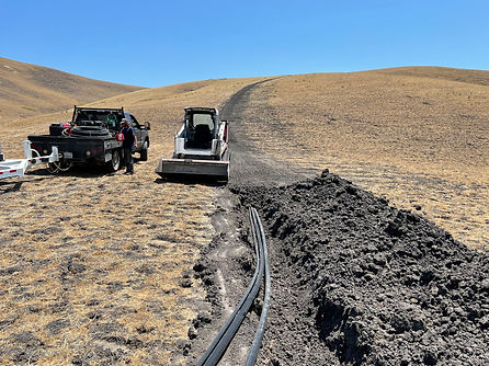 Mitigation planting water infrastructure 