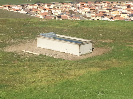 Water trough for conservation grazing
