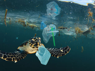 The Links Between Plastic Pollution and the Climate Crisis