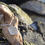 Thumbnail: Handmade frosted clear sea glass necklace, made from recycled materials, KL jewellery designs