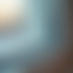 Key Tips for Keeping Your Home Pest-Free