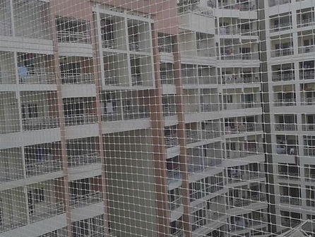 Pigeon Netting in South Bopal & Shela Ahmedabad | Bird Net Installation by Span Shield