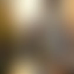 Understanding Pest Control AMC Solutions