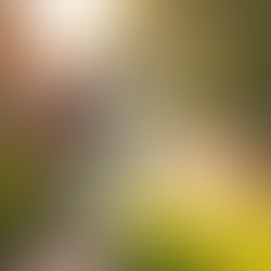 Best Ahmedabad Pest Control Services for a Pest-Free Home!