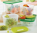 Intelli-frais conseillère tupperware québec