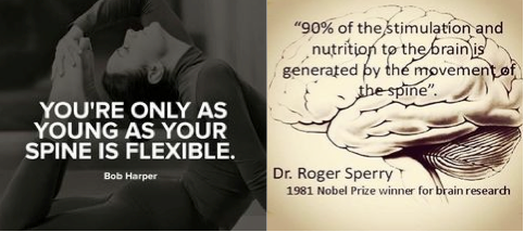You're Only as Young As Your Spine is Flexible!