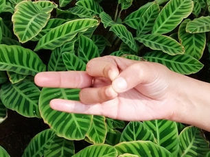 Finding My Inner Power & Peace