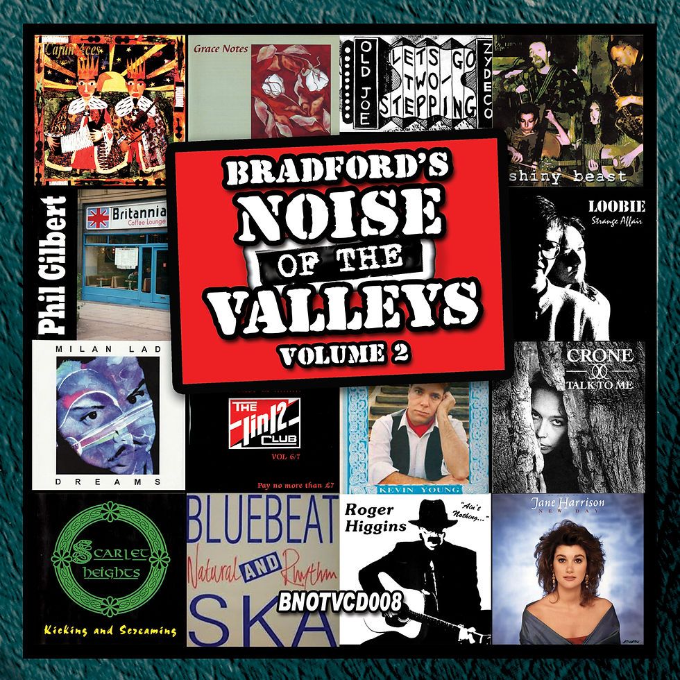 Thumbnail: Bradford Noise