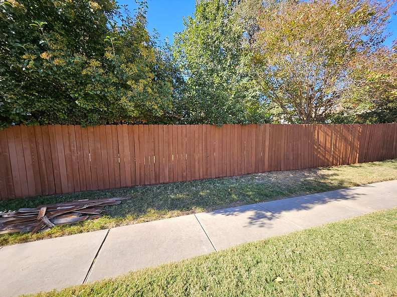 20241115_140530.jpg