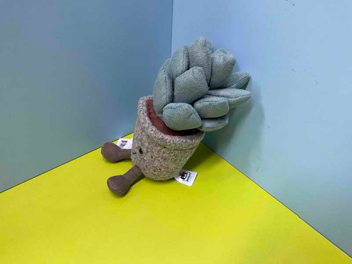 jellycat/ silly succulent azulita | Happy Returns