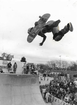 Drop Dead / 775 / Maha