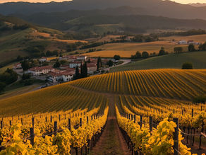 Private Credit Opportunities in Europe’s Eco‑Luxury Winery Resorts: A Sustainable Real Asset Investment Theme