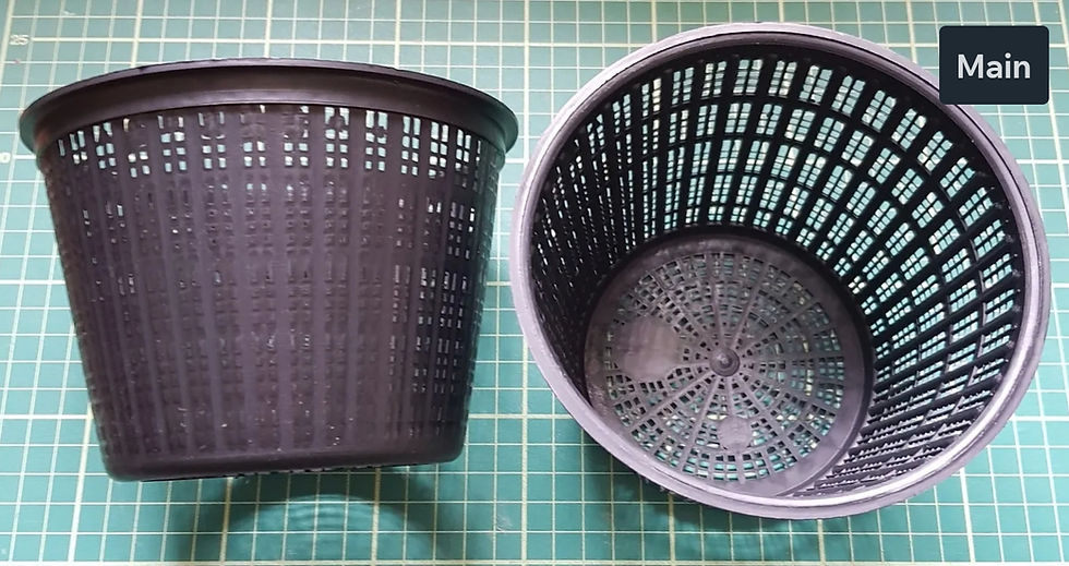 Mesh Pond Pot